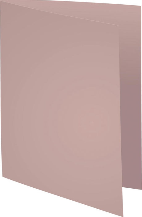 Exacompta forever 170 - pak van 100 dossiermappen 170g m2- 24x32cm voor a4. - grijs - 420009e