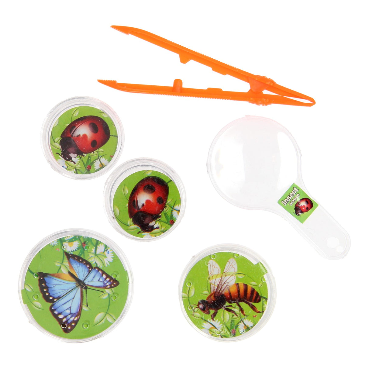 Bugs World Insect Observation set, 5dlg