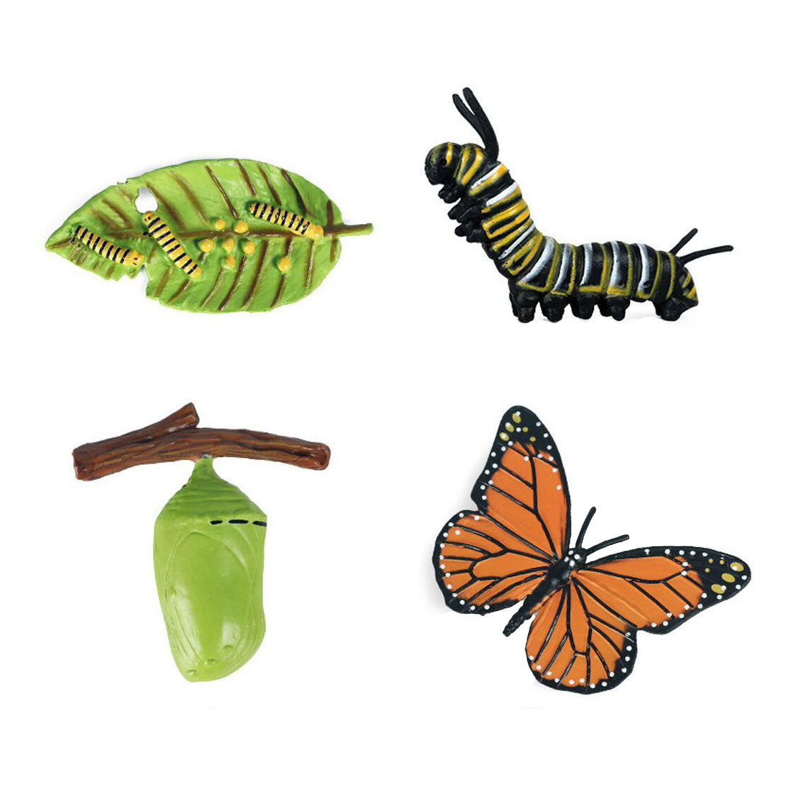 Cycplus Life Cycle Butterfly Play Figure Set