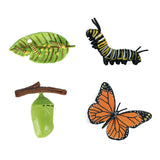 Cycplus Life Cycle Butterfly Play Figure Set