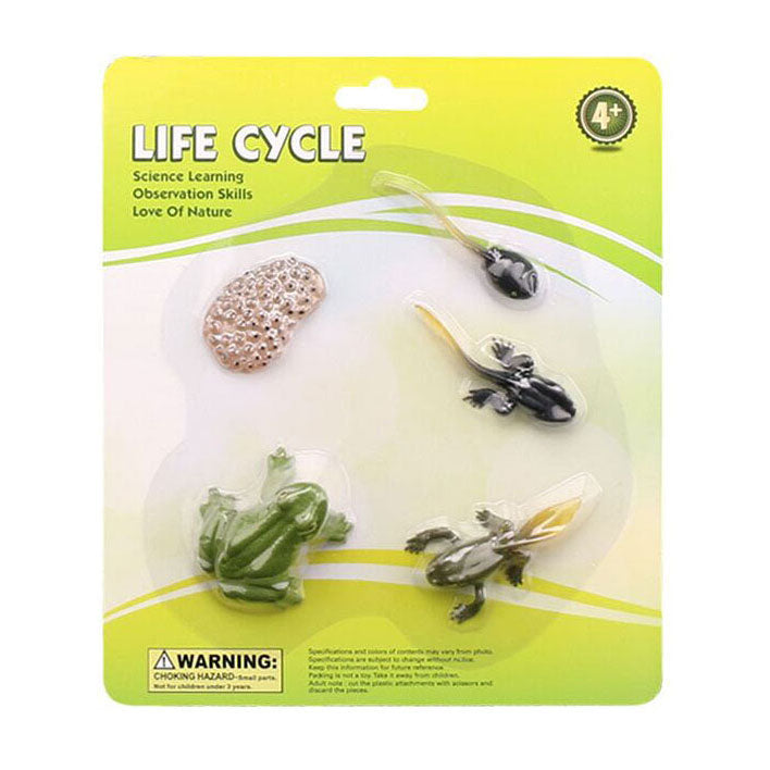 Cycplus Life Cycle Frog Play Figur Set