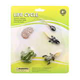 Cycplus Liewenszyklus Frog Plack Figur Set