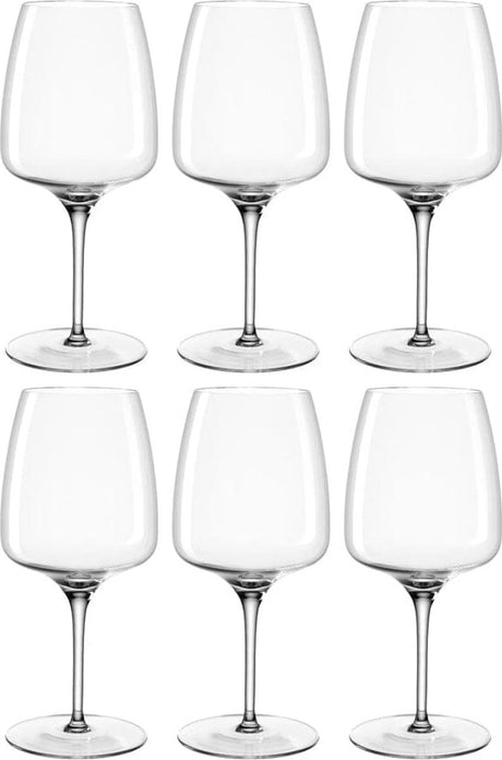 Leonardo rode wijnglas 500ml cesti - set 6