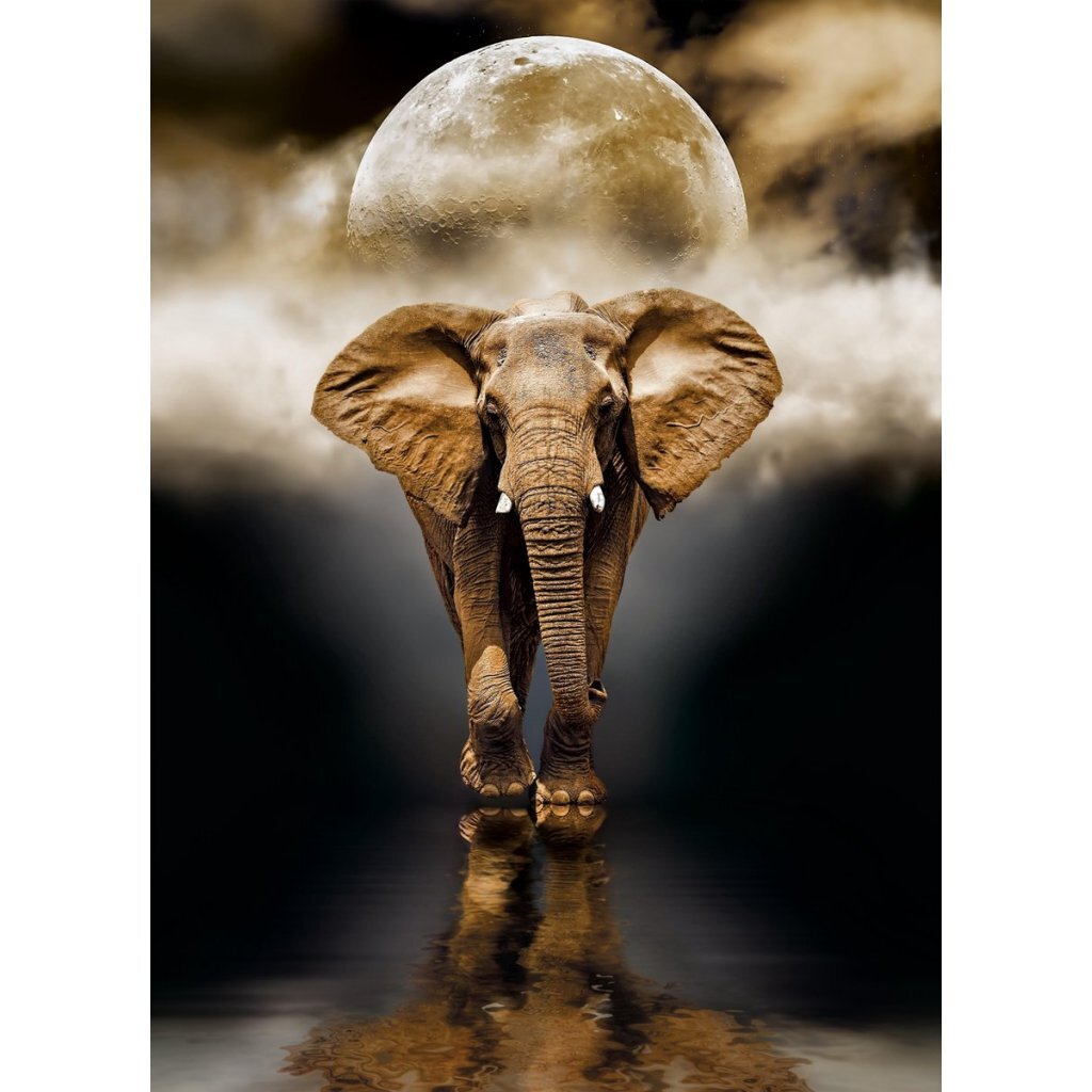 Clementoni high quality collection puzzel 1000 stukjes verschillende uitvoeringen