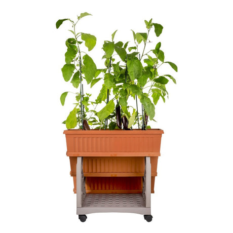 Bama orto di kit plantenbakken 80x74x73 cm terracotta