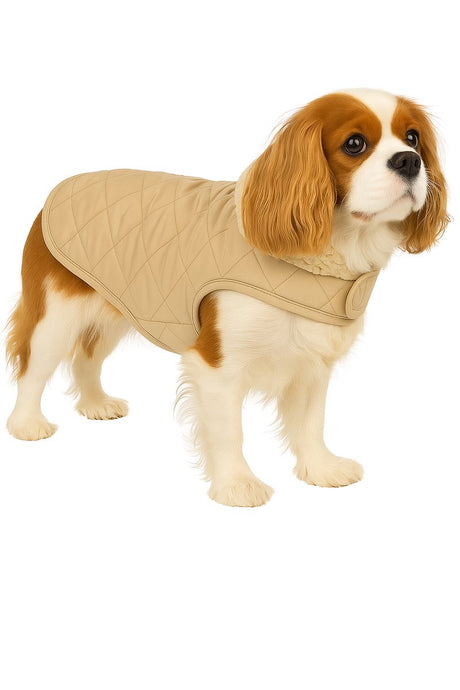 Flamingo hondenjas – bonnie – honden jas – hondenjasjes winter – hondenjas waterdicht – 40 cm – a:40cm b:34-40cm c:54-60cm – beige s