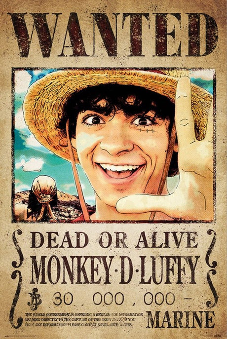 Grupo erik one piece - poster - piraten - manga - anime - 61 x 91,5 cm
