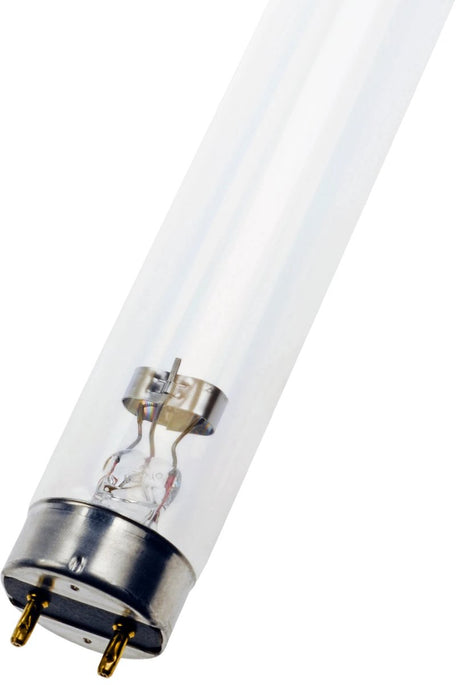 Philips tuv tl-d 36w t8 uv-c | g13 | lengte 120cm tl-buis | g13 | 36 watt