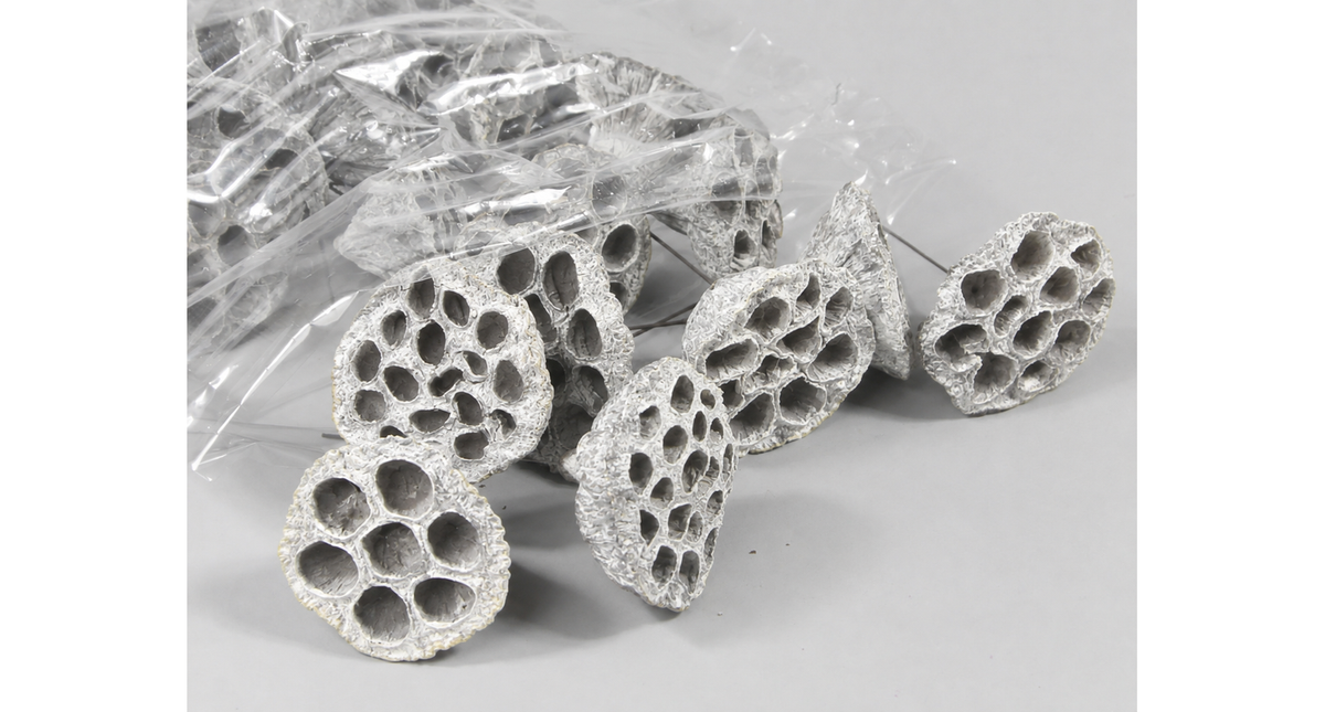 Lotus 3-5cm on wire 10cm white-wash 100pcs