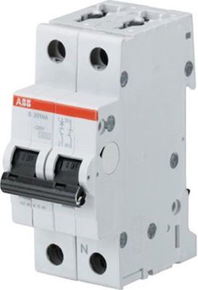Busch-jaeger abb installatieautomaat c10a 2p 6ka - s202-c10
