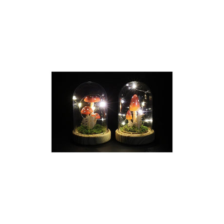 Countryfield stolp paddenstoel led ditta naturel hout ã˜9,5xh13,5cm