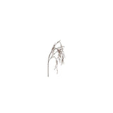 Countryfield kunsttak corylus bruin kunststof h32cm