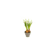 Countryfield kunstbloem in pot muscari wit 12x17x28cm