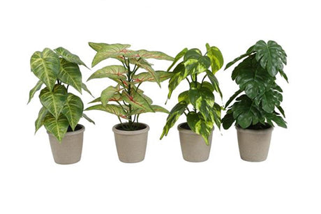 Countryfield kunstplant groen 4 assorti 18x18x30cm