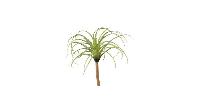Tillandsia l22cm groen