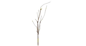 Krultak l60cm groen