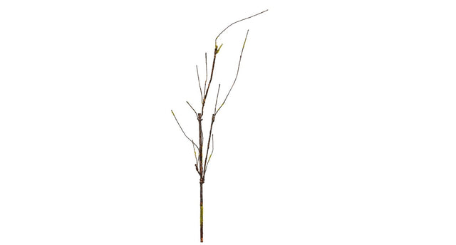 Krultak l60cm groen