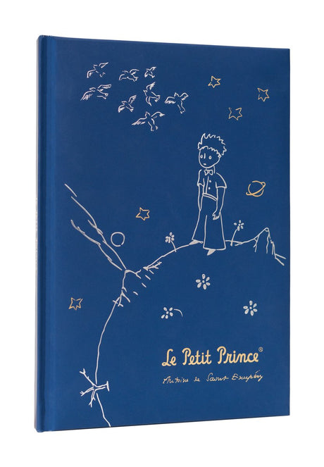 Grupo erik le petit prince - the little prince premium a5 notitieboek - multicolours