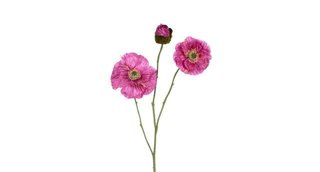 Papaver x3 l76cm mauve
