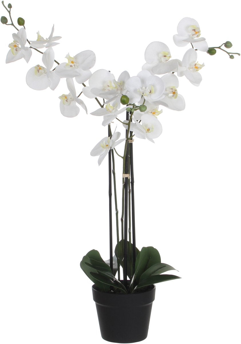 Mica decorations orchidee bloem kunstplant - wit - h75 x b50 cm
