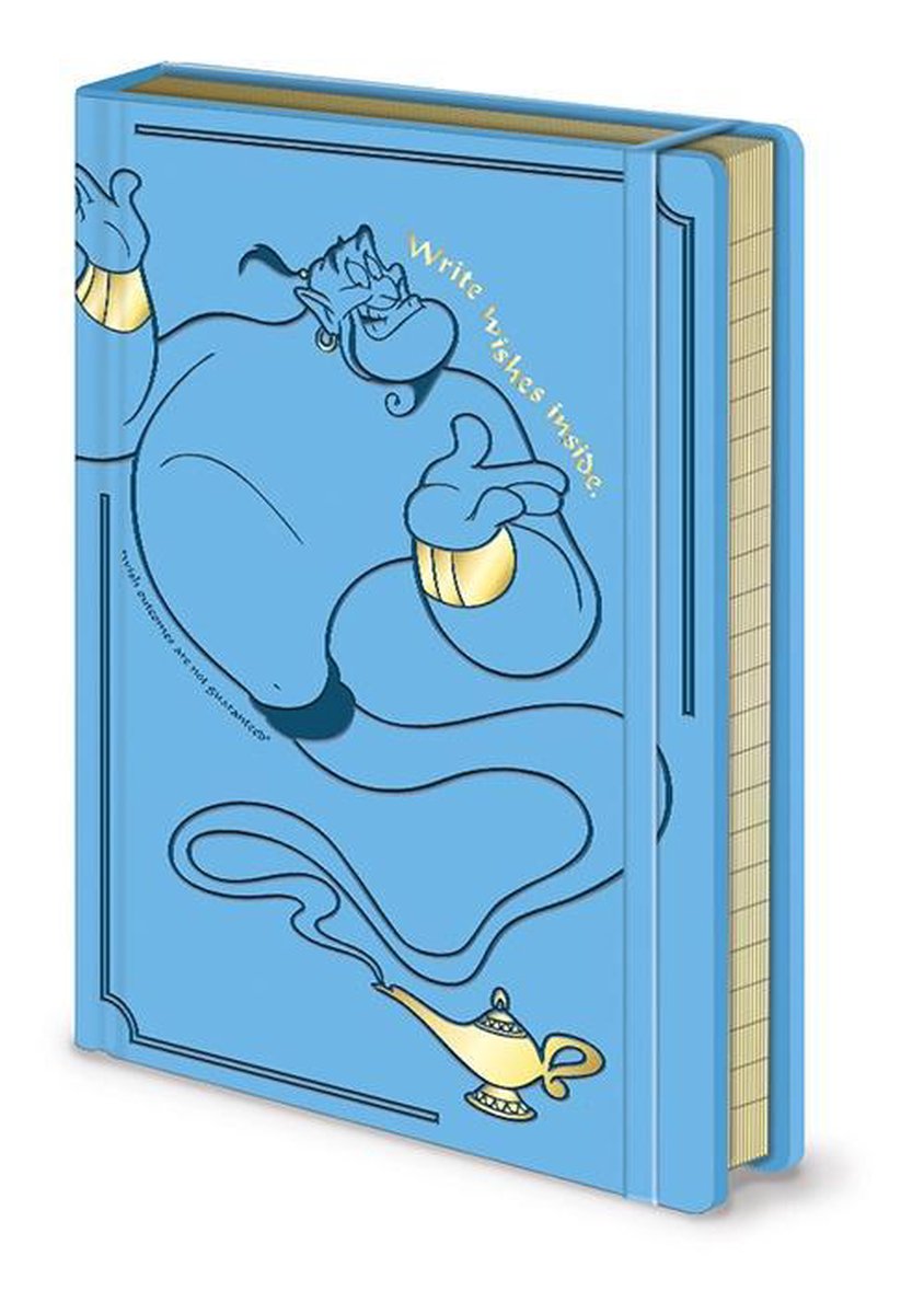 Hole in the wall disney - aladdin - schrijf wensen hier - a5 - premium notitieboek - blauw