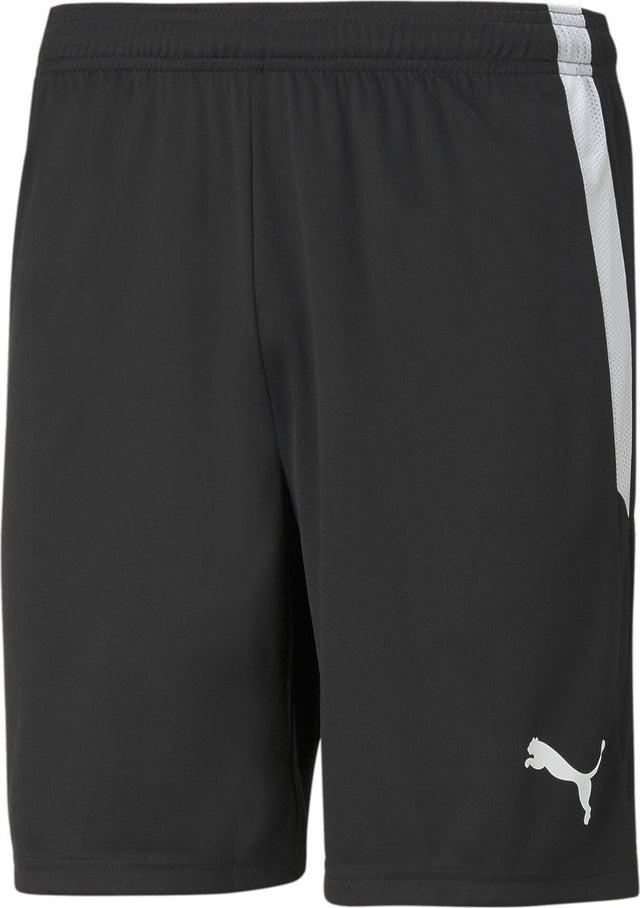 Puma teamliga shorts heren sportbroek - black- white