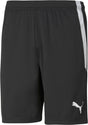 Puma teamliga shorts heren sportbroek - black- white