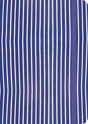 Uitgeverij karmijn carmyne's journal a5 tomoe river notitieboek - blue stripes