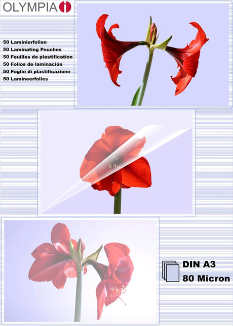 Olympia 1x25 lamineerfolie din a3 80 micron 9180