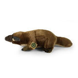 Pluche vogelbekdier 30 cm eco-vriendelij | 2 stuks