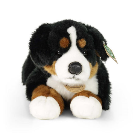 Pluche berner sennenhond 44 cm eco-frien | 2 stuks