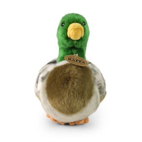 Pluche eend 20 cm eco-vriendelijk | 2 stuks