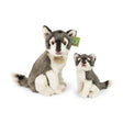 Pluche wolf met welp 27 cm eco-vriendeli | 2 stuks