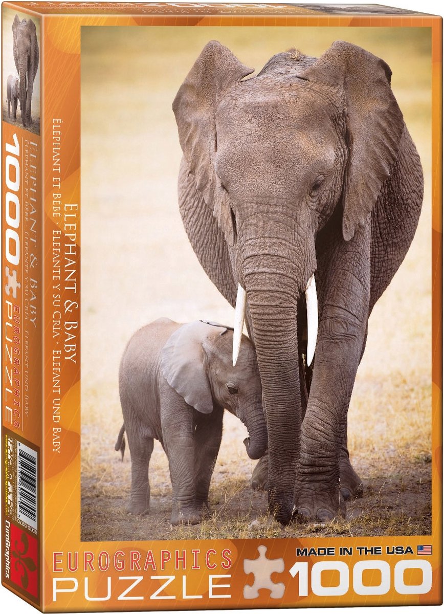 Eurographics - olifant baby [elephant baby] - 1000 stukjes 48×68cm (b×h) - legpuzzel