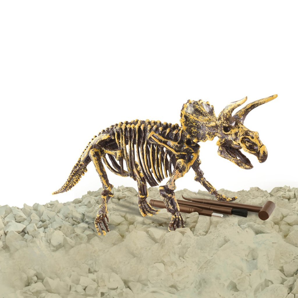 Dinobase Dino 3D Triceratops Skelett