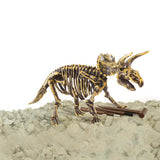 Dinobase Dino 3D Triceratops Skelet