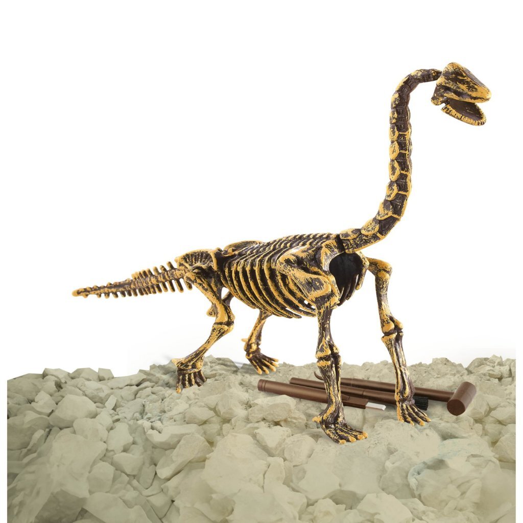 Dinobase Dino 3D Brachiosaurus szkielet