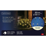 Lumineo Lumino huet Netto Leding Leding fir Buxus Gréng waarm Wäiss wäiss D50cm IP44