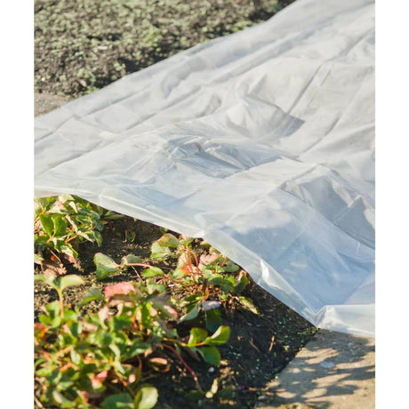 Nature plantenhoes 3x4 m 200µ transparant