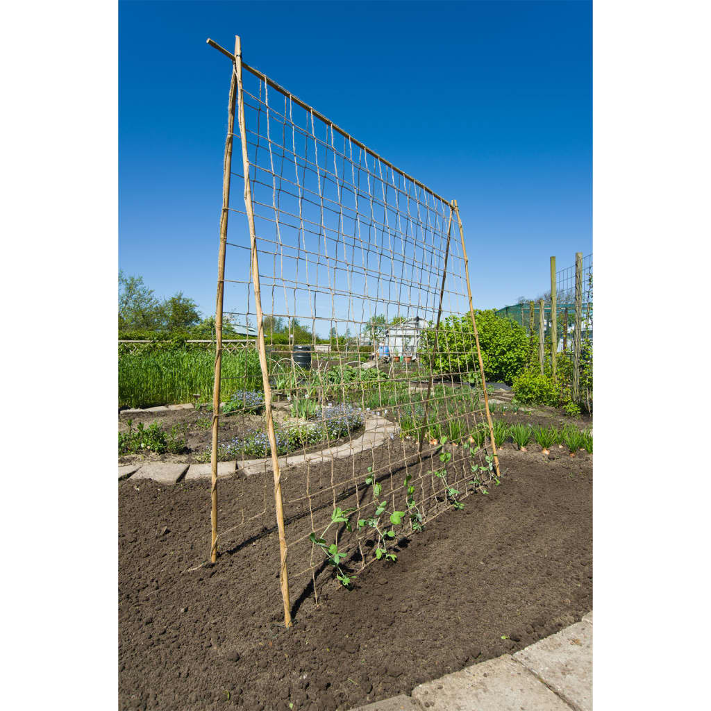 Nature nature klimnet voor planten 1,8x5 m naturel