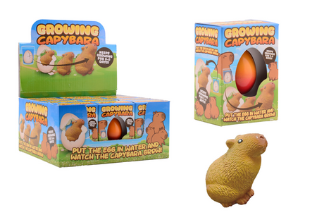 Johntoy groeiende capybara ei in doos, 4 assorti