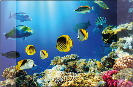 Kangaro bureau onderlegger - 38x58cm - aquarium - antislip - met insteekvakken - k-0014d115
