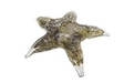 Sculptuur starfish grijs groen glas 15,5x14,5x3,5cm