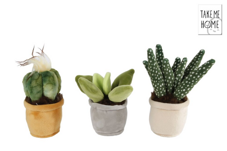 Take me home plant pluche s 3ass 12-17cm