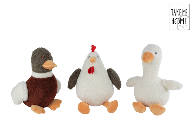 Take me home pluche gans, eend of kip 22cm