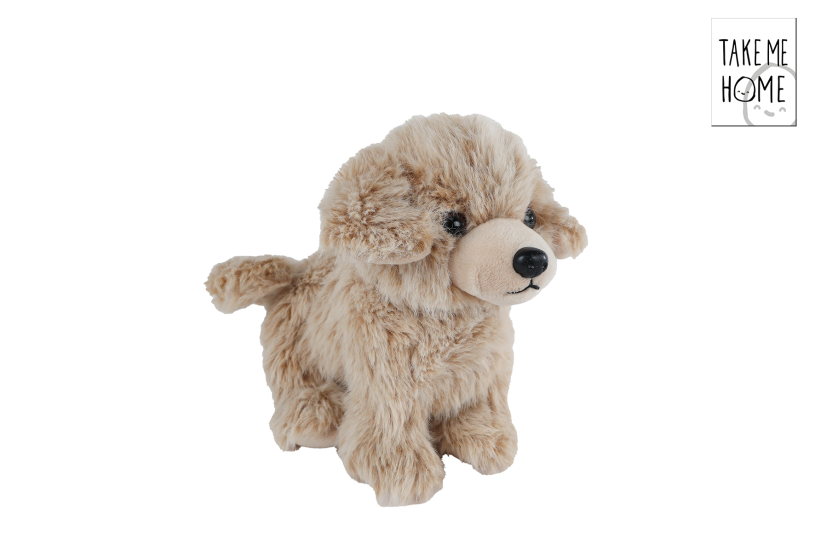 Take me home hond s pluche staand 22cm