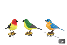 Vogel singing bird kunststof 12x4,5x9,5cm assorti