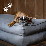 Madison Dog Cushion Panama 100x70x15 cm grigio