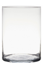 Vaas essentials levi cylinder h25 d18
