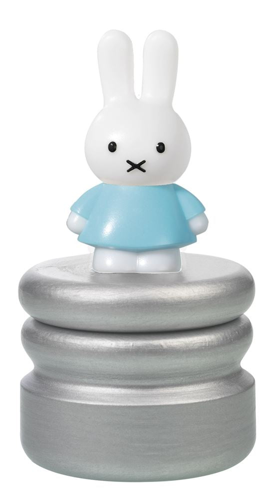 Bambolino toys nijntje tandendoosje blauw. 4+ | 6 stuks